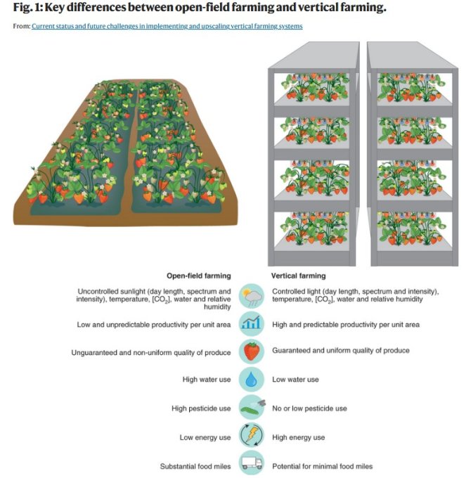 Key differences between open-field farming and vertical farming