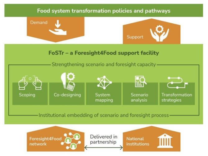 Food system transformation policies and pathways