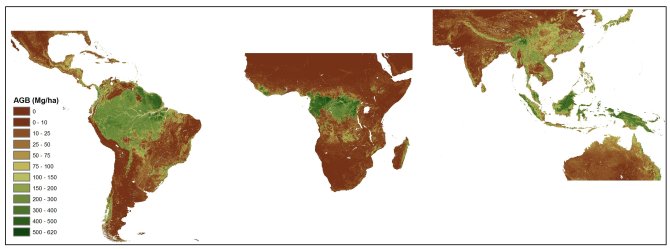 The improved pan-tropical map of aboveground woody biomass at 1 km.  