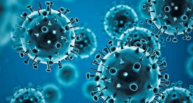 Virus neutralization tests against SARS-CoV-2 variants