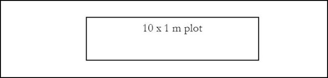 Placement of the L plot in a grass or herb strip (GST or HST)