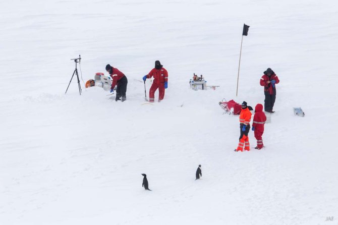 Twee Adélie Pinguins inspecteren het ICEFLUX team dat op het vaste ijs aan het werk is ice (van links af: André, Julia, Fokje, Giulia, Bram)