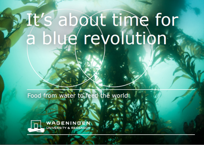 It's about time for a blue revolution
