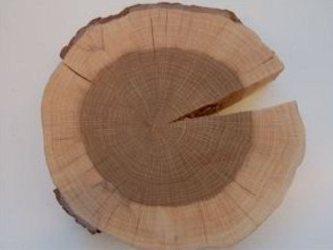 Sanded oak disk 