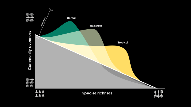 This graphical abstract summarises the main message of the study: in boreal and temperate forests productivity is highest with a lower community evenness, while in a tropical forest with a high species richness, productivity is higher when also evenness is higher. Source: Crowther Lab
