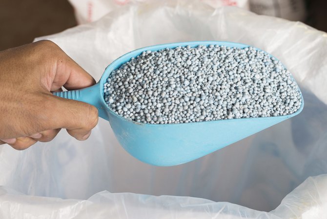 Minerals get shipped to fertiliser manufacturers, where they are processed into high-quality (pure) fertilisers. For greenhouse horticulture, many of these fertilisers are made to be soluble, so they can be given to the plants along with the irrigation water. Source: Vaakim/Shutterstock.com