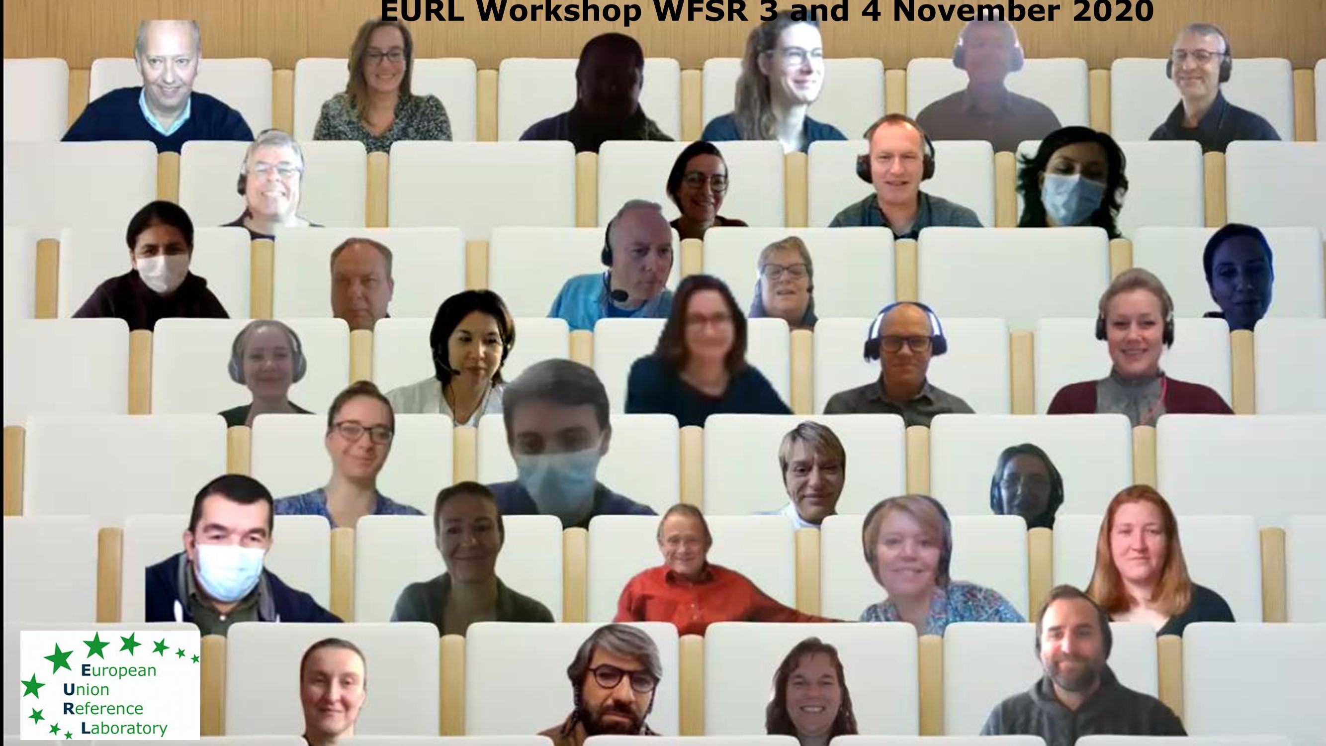 EURL_WFSR_workshop_picture_3_4_november_2020.jpg