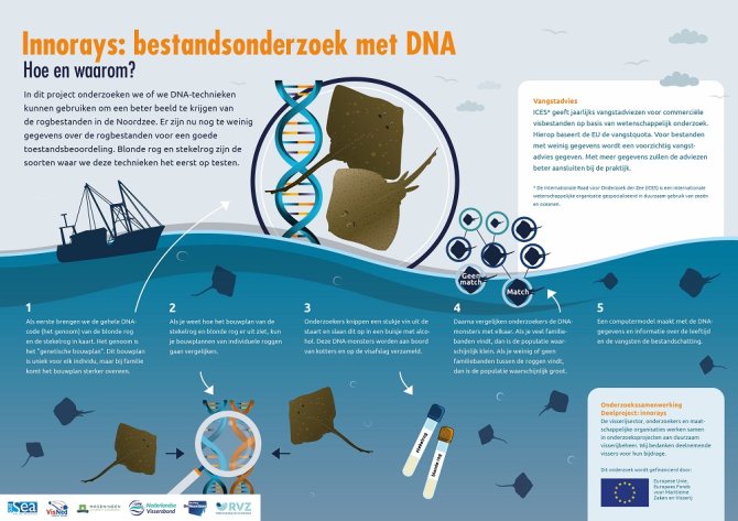 Innorays: bestandsonderzoek met DNA
