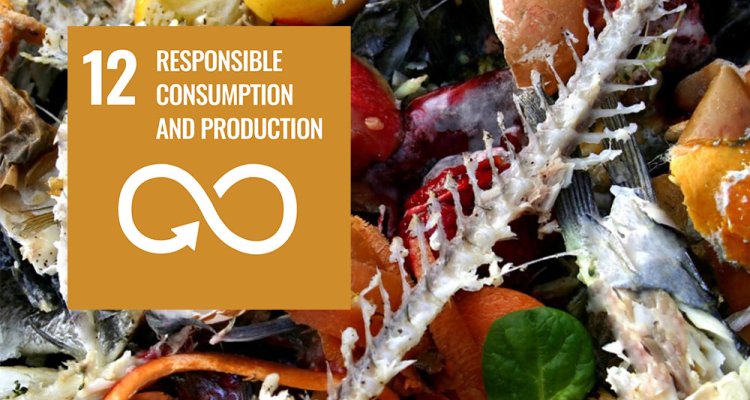 SDG goal: Responsible consumption and production  