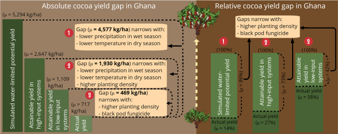 Cocoa yield gap in Ghana