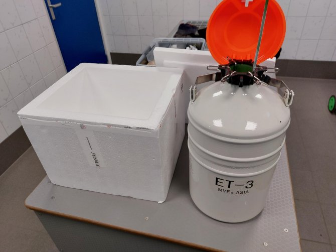 Container of liquid nitrogen to hold the straws