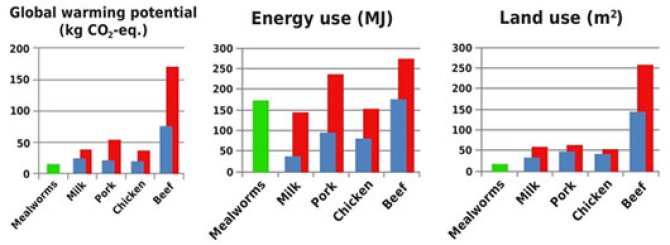 Figuur: Broeikasgasproductie, energieverbruik en landgebruik voor de productie van een kilogram eiwit. De blauwe staven geven minimale waarden en de rode staven geven maximale waarden aan.