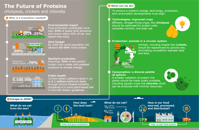 Protein transition