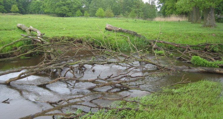 Stream restoration: nature-based solutions