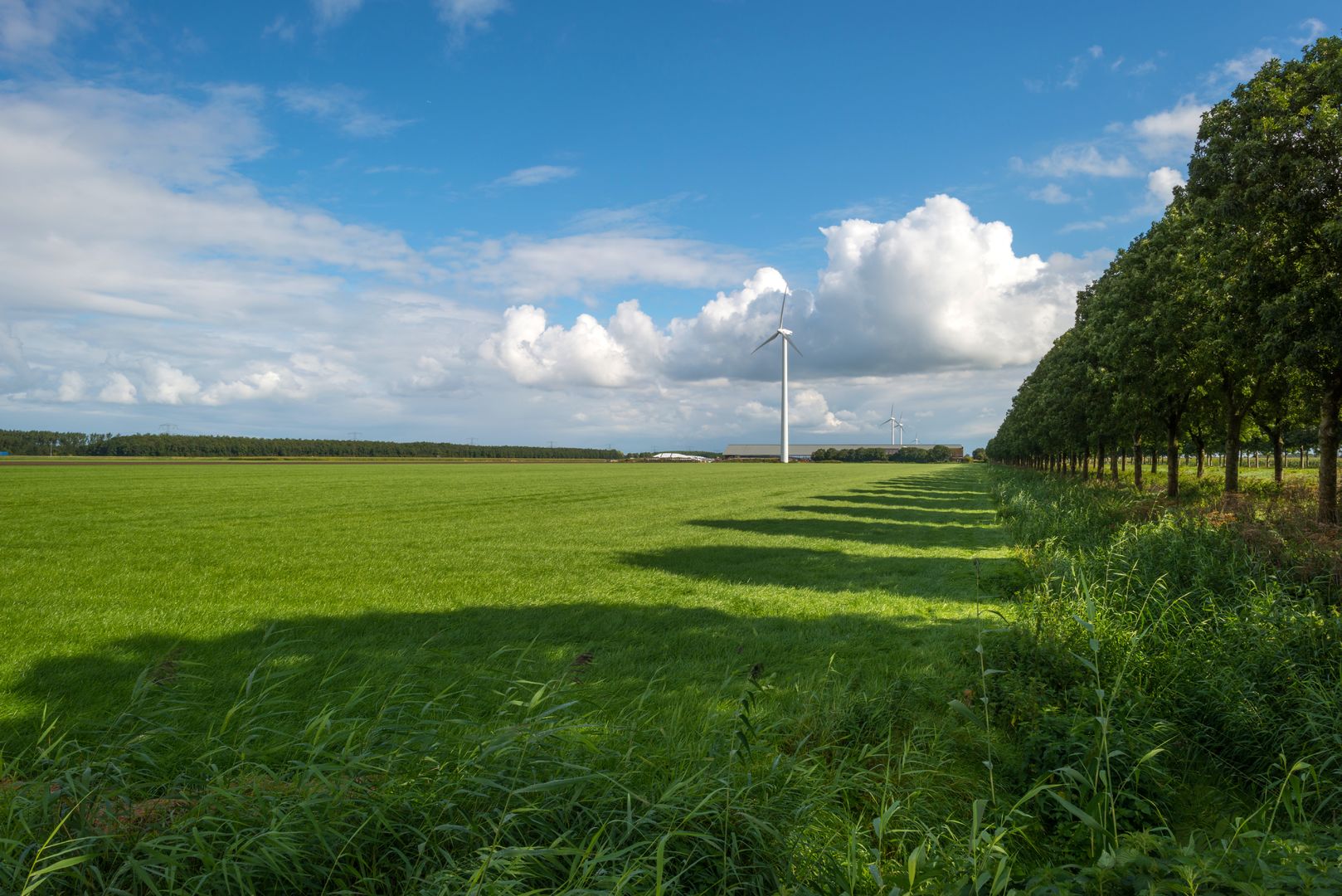 Agrarisch landschap in Flevoland