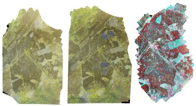 Orto-mosaic from GoPro camera (left) and false-color image from Rikola camera (right) for eastern transect of Young heathland plots at Glensaugh farm. For this transect flights were made before burning (left) and one after burning (see dark areas in middle image).