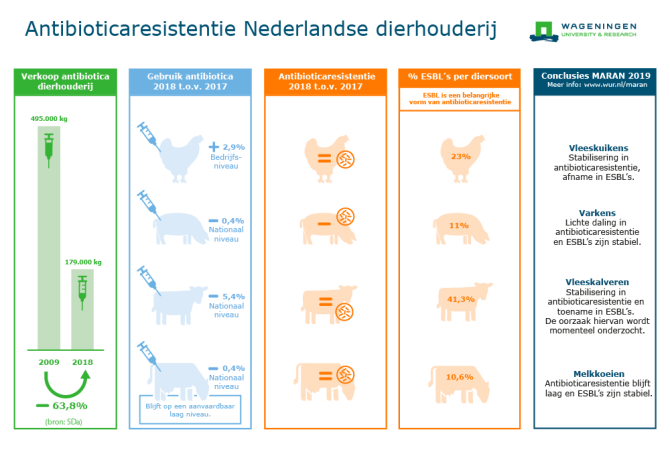 infographic antibioticaresistentie NL dierhouderij 2019