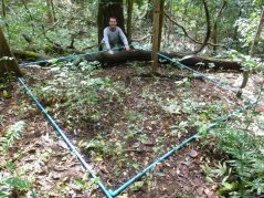 field studies in a protected area of forest where more than 10,000 seeds, seedlings, and trees were measured and monitored