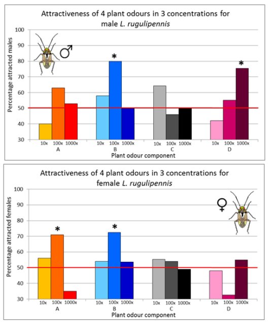 Males and females of the European tarnished plant bug (Lygus rugulipennis) respond differently to a number of tested odours (bars marked with an asterisk are significantly attractive for the bugs). The different concentrations of the odours offered appear to be important for response as well (10x, 100x or 1000x dilution). In total 60 adult bugs (30 males and 30 females) for each odour and each concentration were tested.