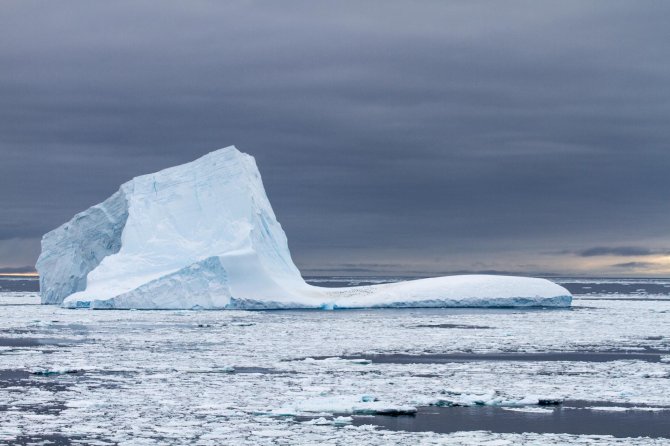 Keelband pinguins beginnen te verzamelen op een ijsberg tegen een donkere avondlucht. 