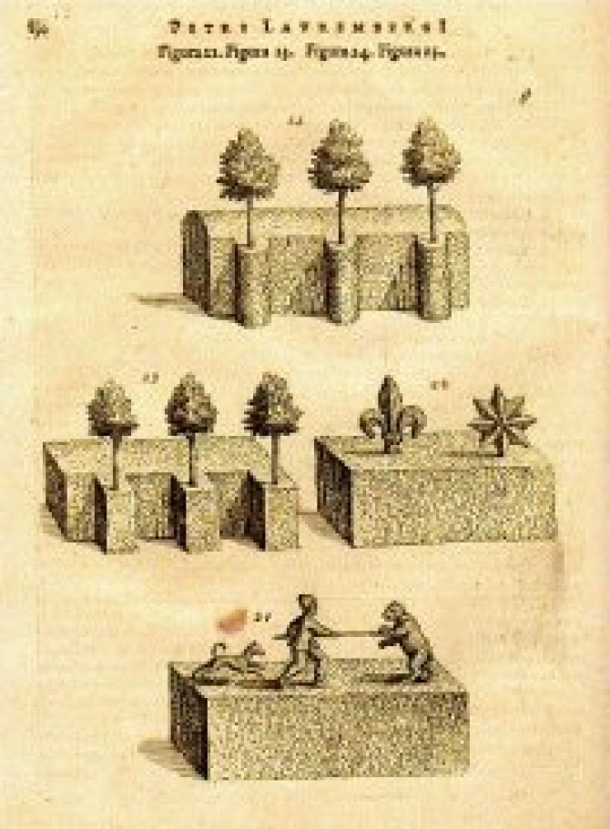 Lauremberg, P.  Horticultura, libris II. comprehensa;  - Francofurti ad Moenum : sumptibus Matthaei Meriani, [1632]. 