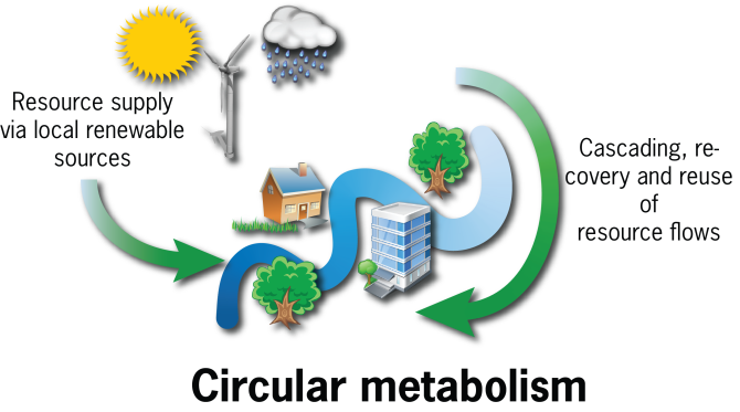 circular_metabolism.png