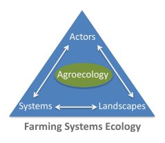 Figure 1: Farming Systems Ecology portraits Agroecology in the realm of systems analysis, landscape processes and collective action.