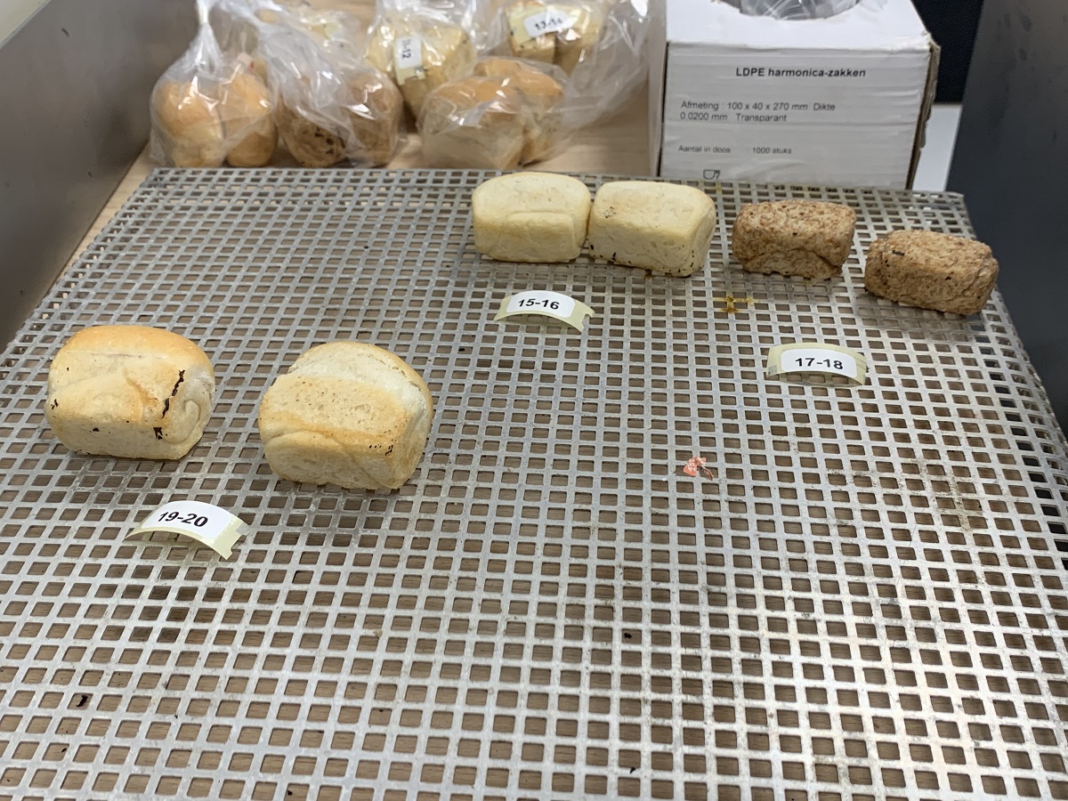 Mini bread baked with cereals from the strip cropping trials