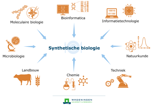 Bij de synthetische biologie werken onderzoekers uit allerlei vakgebieden samen.