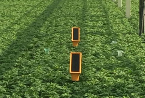 Research with new type soil moisture sensor for soil grown crops.