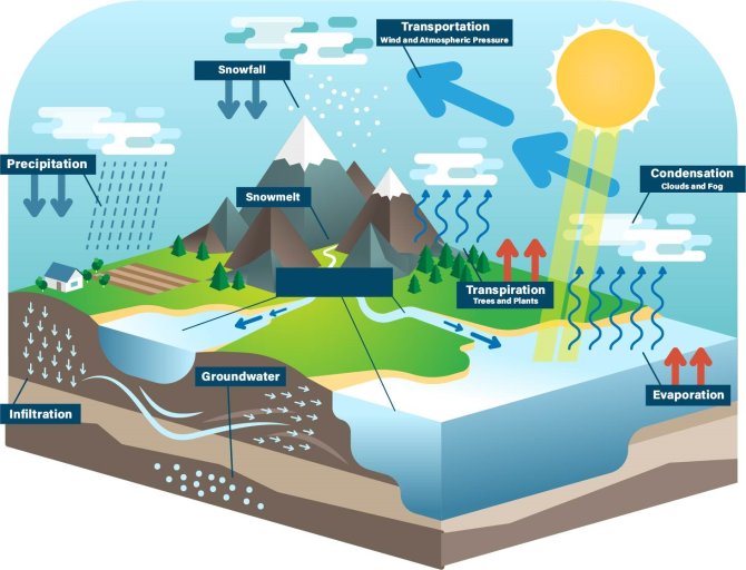 A schematic overview of the natural water cycle on Earth. It is clear that precipitation plays a crucial role in the water balance. In regions with little precipitation, groundwater is usually a reserve that was built up over thousands of years. If every year people take out more water than gets naturally replenished, this reserve will be exhausted. Source: VectorMine/Shutterstock.com