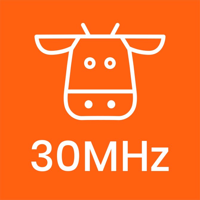 30MHz - Logo - Name - Orange.jpg