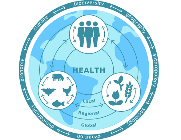 global_one_health_midden.jpg