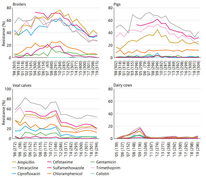 Figuur: Het percentage antibioticaresistente E. coli bacteriën, geïsoleerd uit de poep van kippen, varkens, kalveren en koeien in Nederland. De grafieken geven een overzicht van 1998 t/m 2019 (Bron: Nethmap-MARAN 2020 rapport).