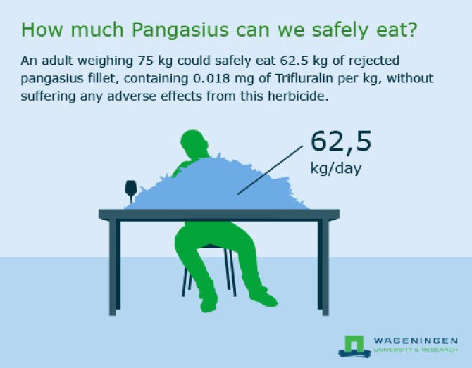How much pangasius can we safely eat?
