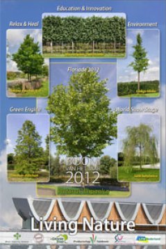Met de boom van het jaar 2012: Platanus hispanica
