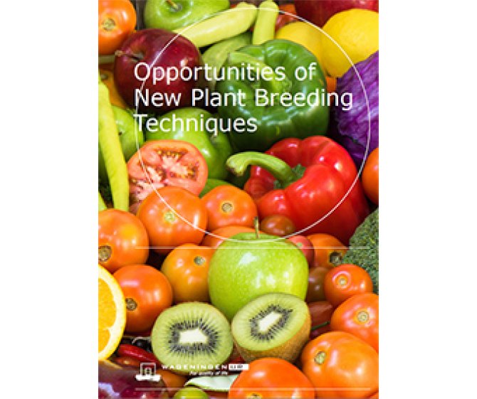 Opportunities of New Plant Breeding Techniques