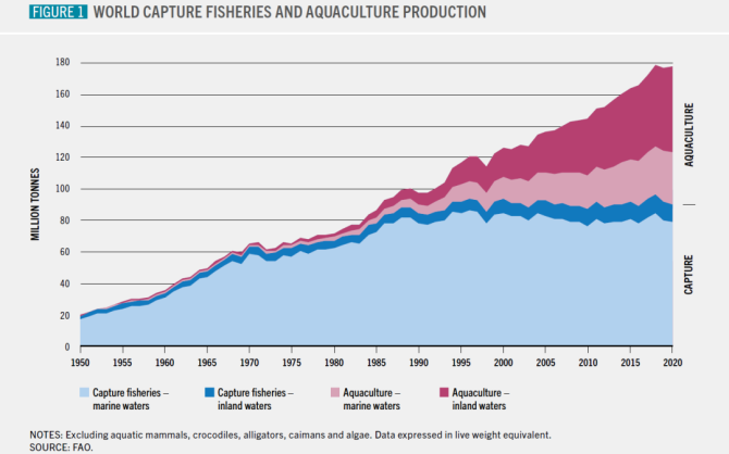图 1：世界年度捕捞渔业产量（蓝色部分）和水产养殖产量（粉色部分）。数据来源：联合国粮食及农业组织（FAO）
