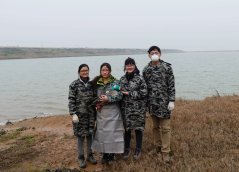 Chinese team capture waterbirds and attach transmitters in Poyang Lake (from left to right: Yali Si, Jie Wei, Yanjie Xu, Wenyuan Zhang)