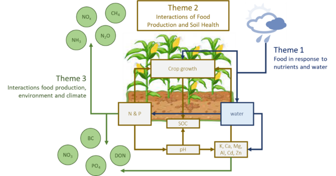 The three themes of Nutrients, Food and Environment