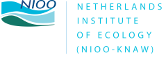 NIOO logo gestapeld Engels.png