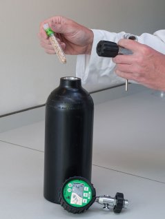 Storing seed in a steel tank under high pressure air or oxygen accelerates seed ageing. This ageing test allows effect of genetic variation or seed treatments to be studied while keeping the seeds dry.  