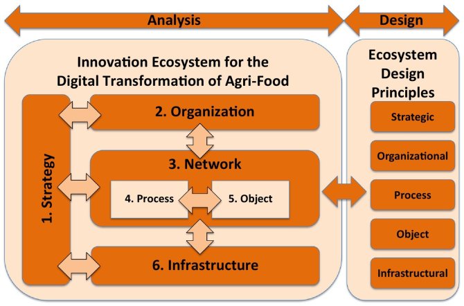 Figure 1 Framework to analyse digital innovation ecosystems to derive design principles