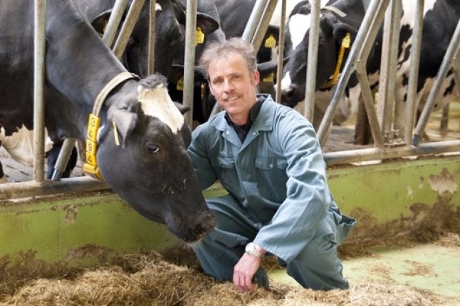 Researcher Jan Dijkstra at a dairy farm