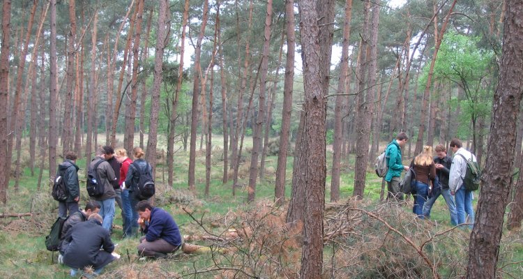 Students making a forest inventarisation for the Introductionary Field Course at Zuid-Ginkel, the Netherlands ©Jan den Ouden