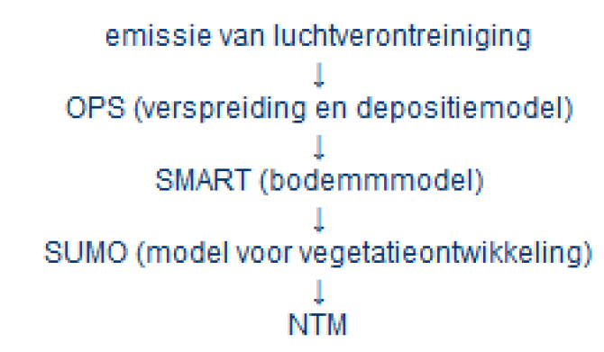 NTM model