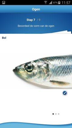 Beoordeel de versheid van vis met de App: "How fresh is your fish?"