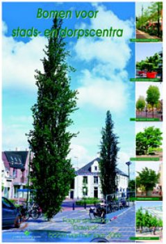 Met de boom van het jaar 2006: Fagus sylvatica 'Dawyck'