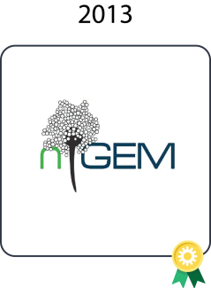 Logo iGEM 2013