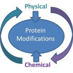 proteinfunctionalization.jpg